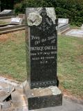image of grave number 895276